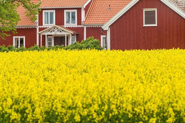Bibikow, Walter 아티스트의 Sweden-Lake Vattern Area-Renstad-farm-springtime작품입니다.